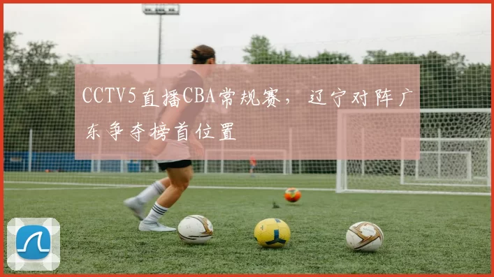 CCTV5直播CBA常规赛,辽宁对阵广东争夺榜首位置