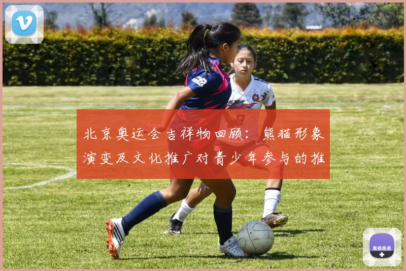 北京奥运会吉祥物回顾：熊猫形象演变及文化推广对青少年参与的推动