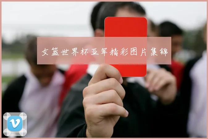 女篮世界杯亚军精彩图片集锦