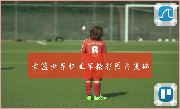女篮世界杯亚军精彩图片集锦