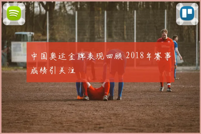 中国奥运金牌表现回顾 2018年赛事成绩引关注